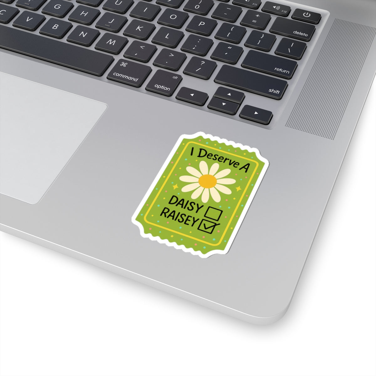 Funny Sticker — "I Deserve A Daisy Raisey" Cute Floral Vinyl Sticker